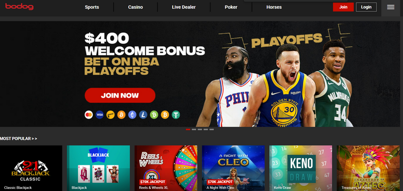 BODOG - Thiên đường cá cược đẳng cấp hàng đầu thị trường