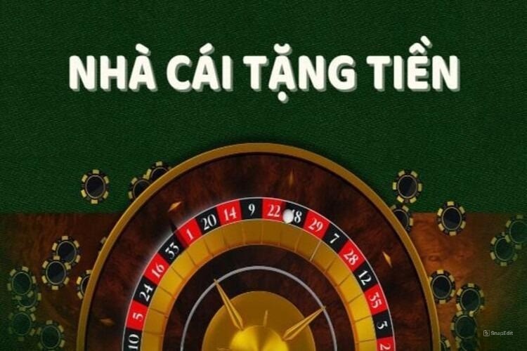 Top 10 nhà cái có chương trình khuyến mãi hấp dẫn